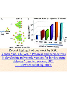 Progress and perspectives in developing polymeric vectors for in vitro gene
delivery